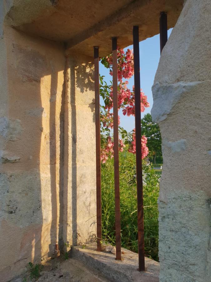 Chateau Canteloup Bed and Breakfast Saint-Caprais-de-Bordeaux Esterno foto